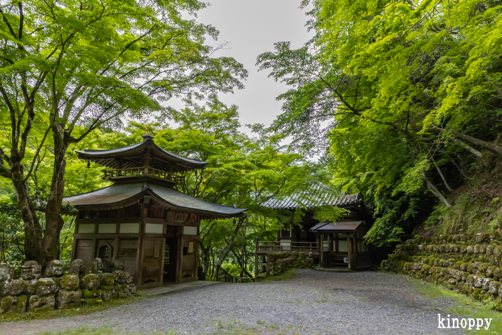 愛宕念仏寺 新緑 2