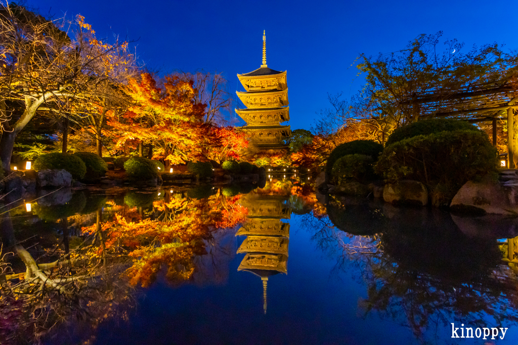 東寺 紅葉 ライトアップ