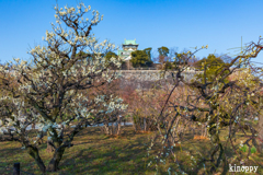 大阪城 梅林