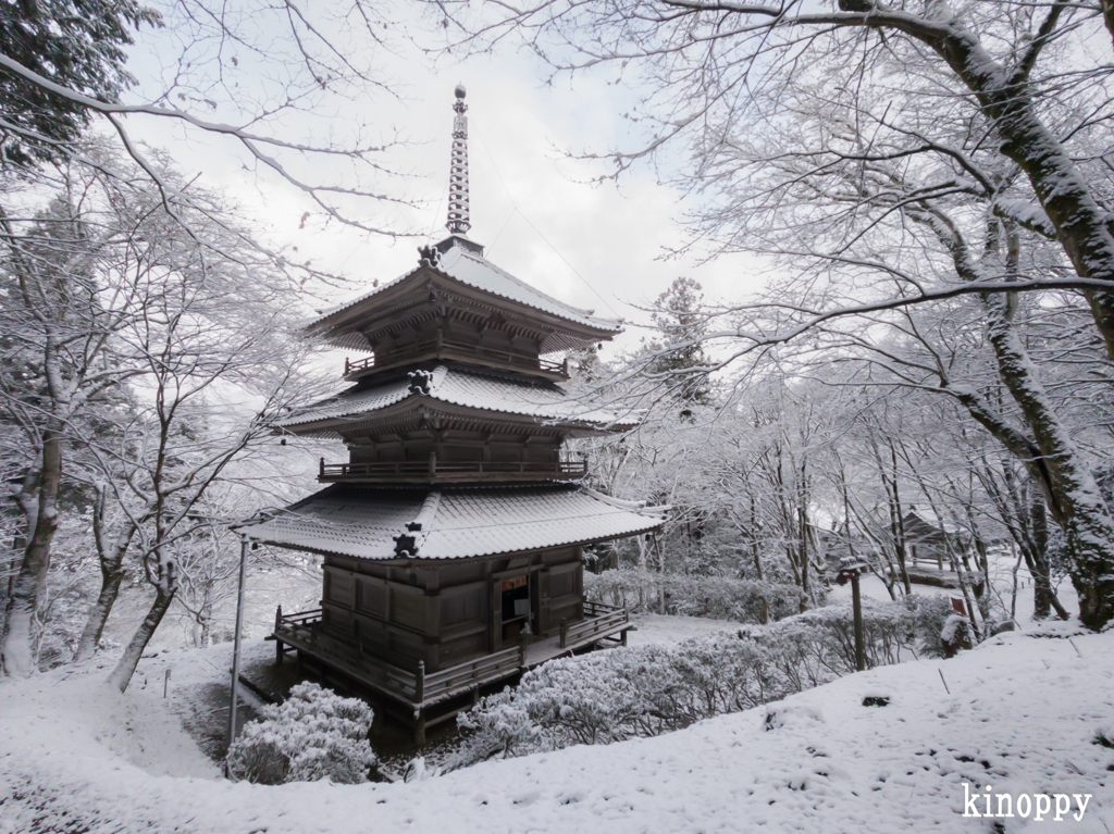 高源寺 冬景色