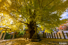 素盞雄神社 紅葉