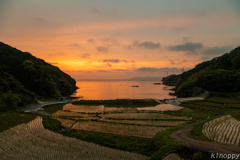 浜野浦 棚田 夕景 6