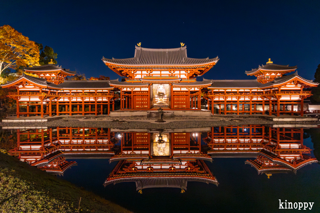 平等院鳳凰堂 ライトアップ 3