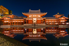 平等院鳳凰堂 ライトアップ 3