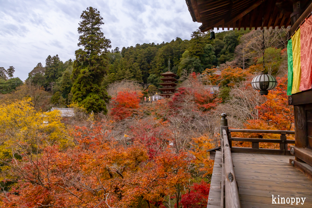 長谷寺 紅葉 3