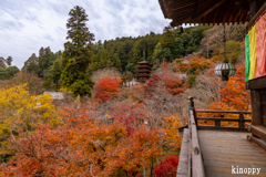 長谷寺 紅葉 3
