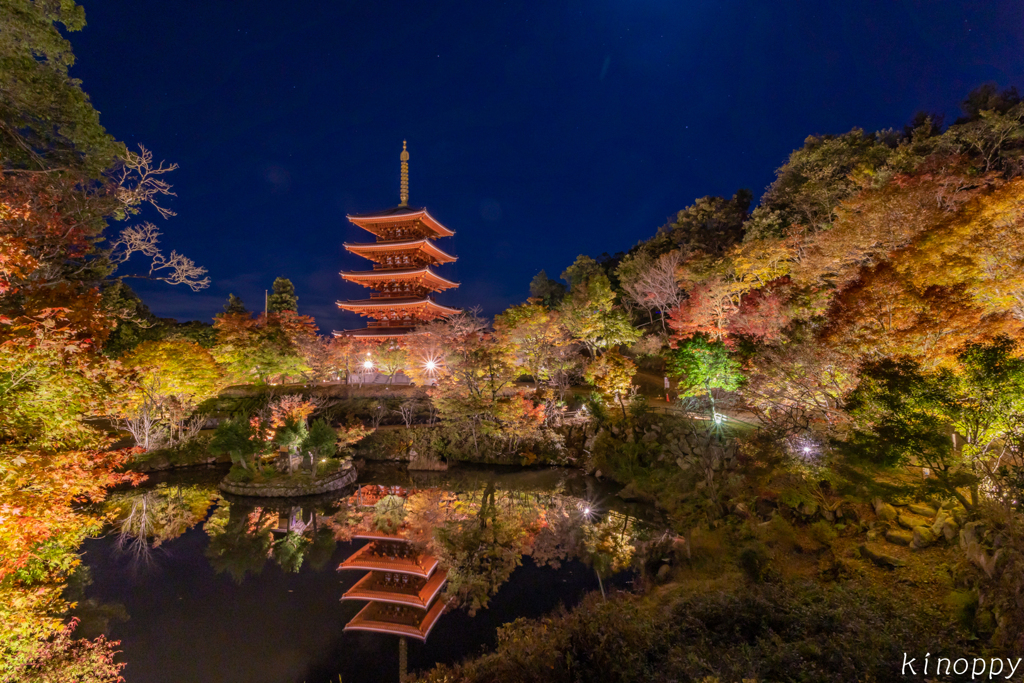 成相寺 ライトアップ