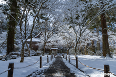 三千院 雪景色