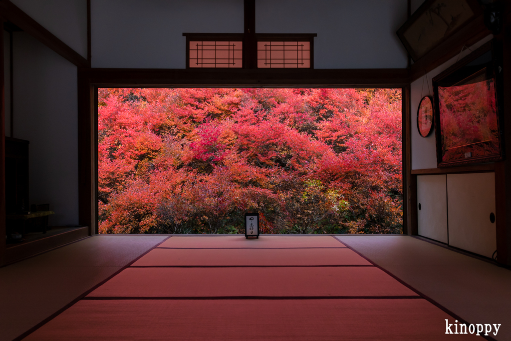 安国寺 ドウダンツツジ 2