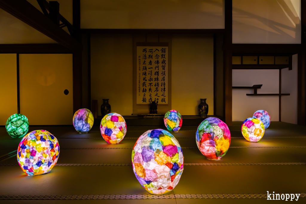 西教寺 ライトアップ 12
