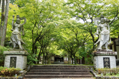 呑山観音寺 新緑