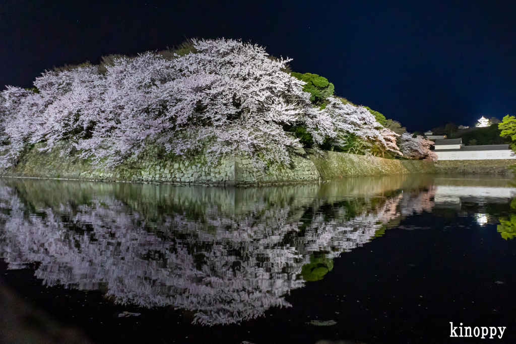 彦根城 ライトアップ