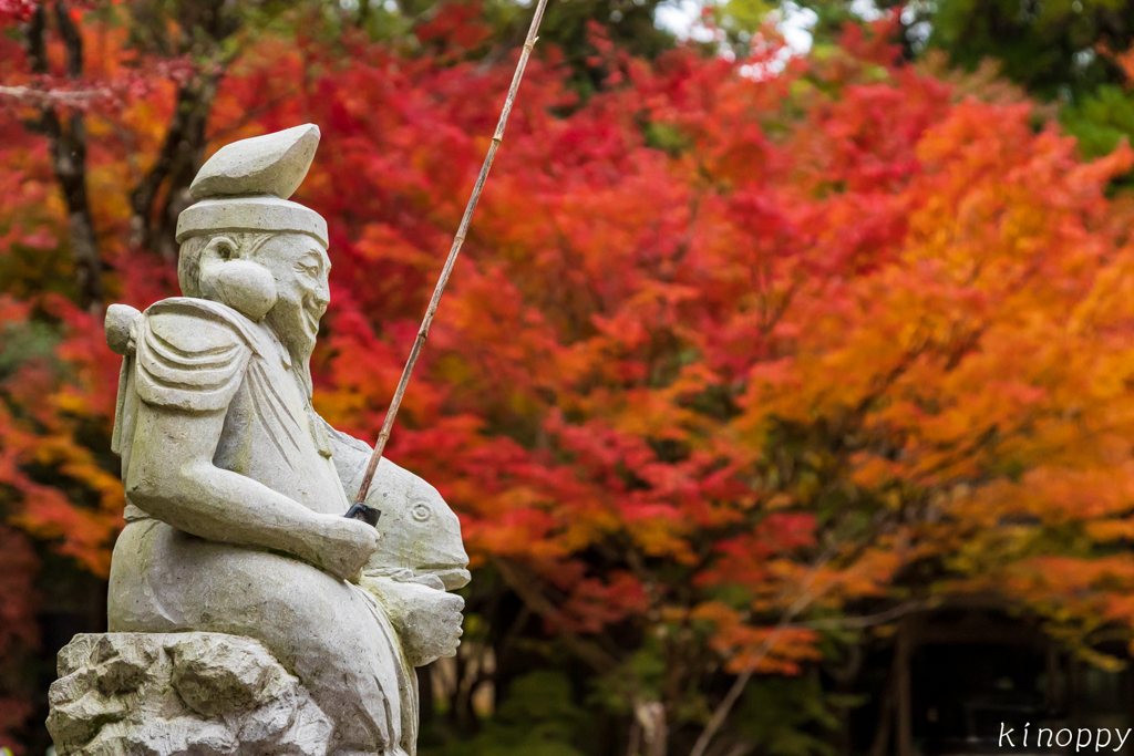 仁比山神社 紅葉 6