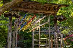 正寿院 風鈴まつり 2