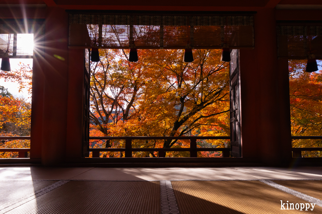 談山神社 紅葉 6