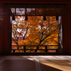 談山神社 紅葉 6