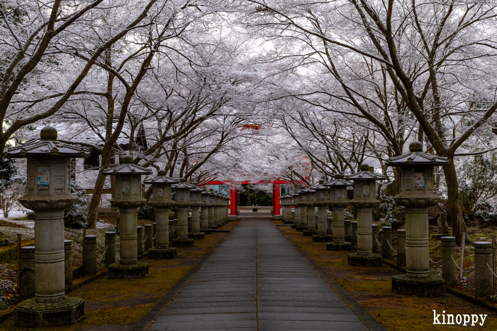 高山寺 冬景色 3