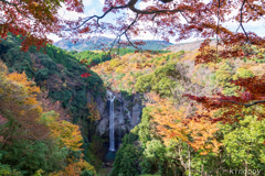 福貴野の滝 紅葉