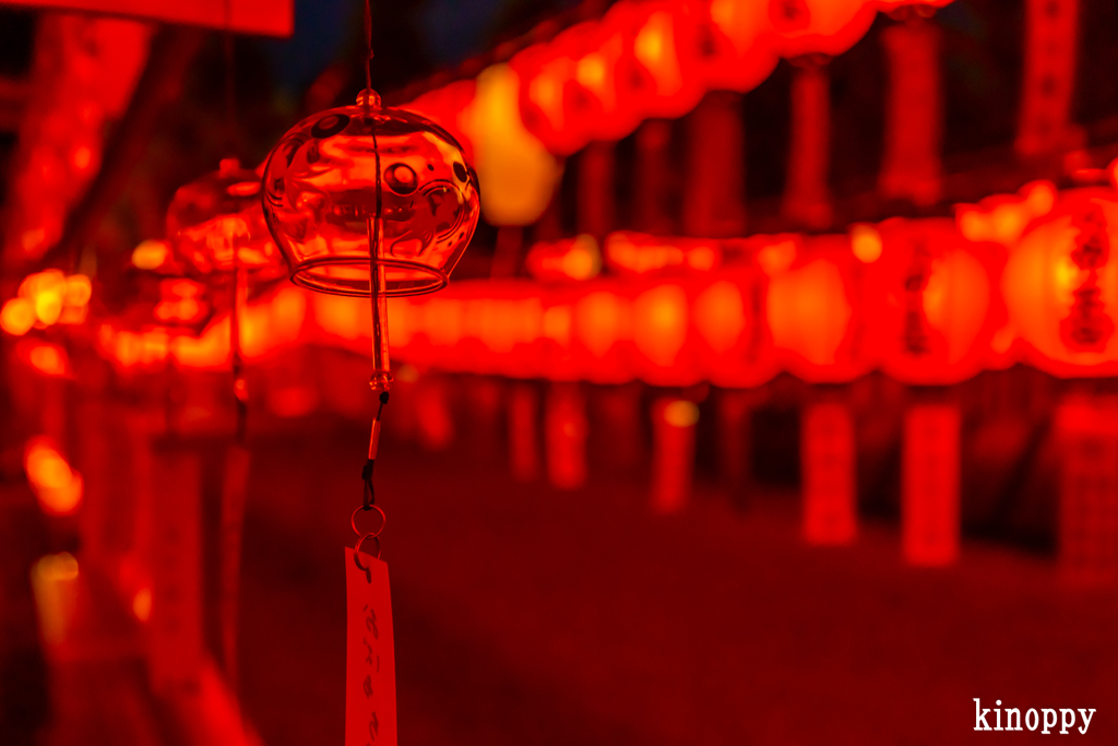 萱野神社 献灯祭 5