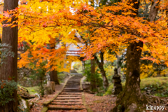 龍穏寺 紅葉 3