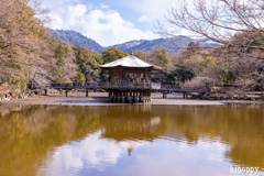 奈良公園 浮見堂