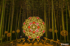嵐山月灯路 5