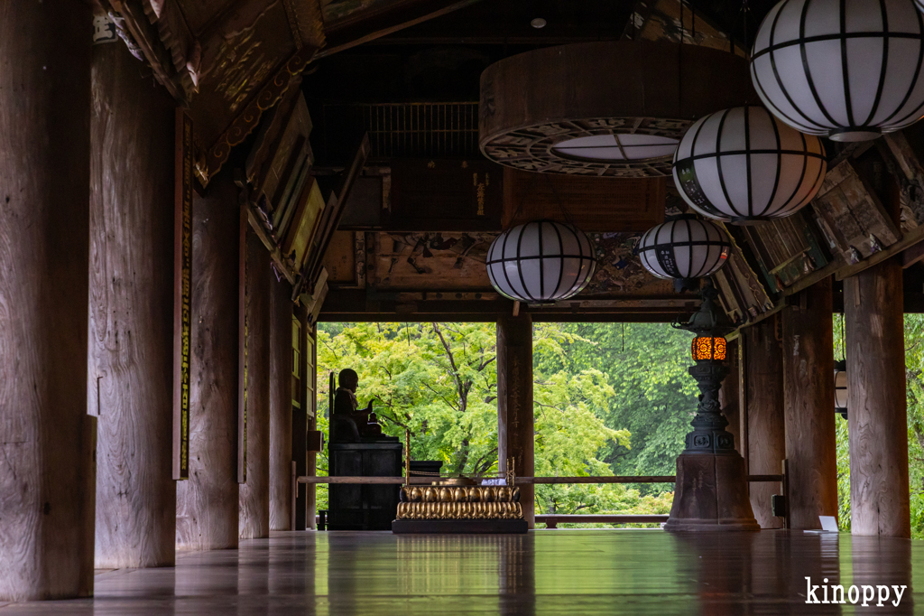 長谷寺 あぢさゐ回廊 3