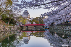 姫路城 春景色