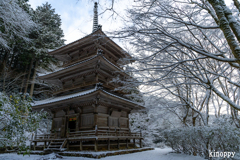 高源寺 冬景色 2