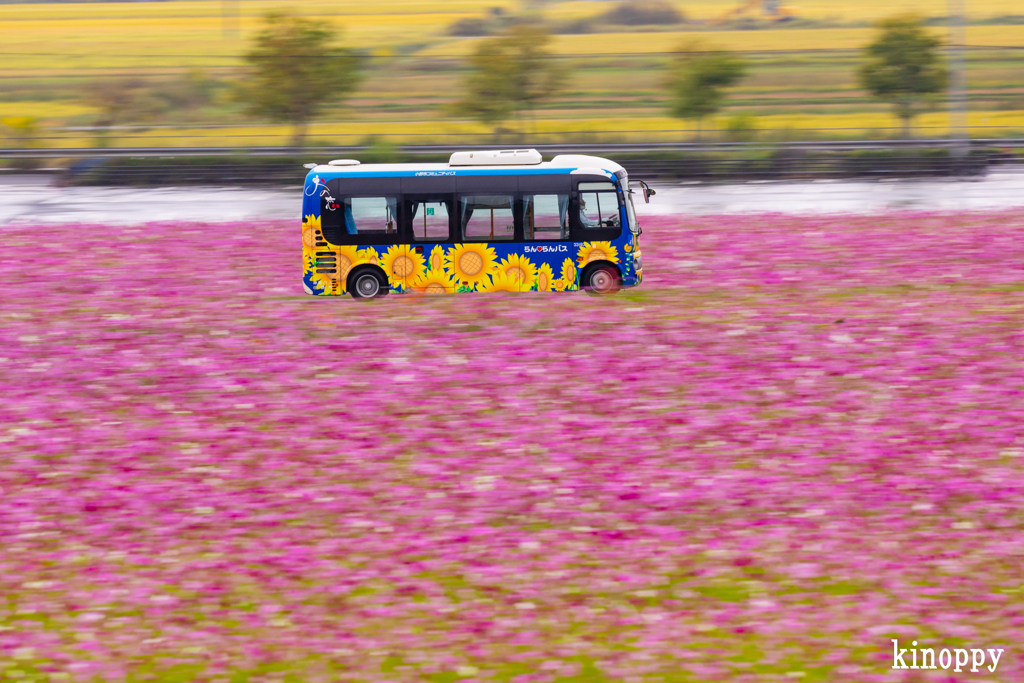 ひまわりの丘公園 コミュニティバス