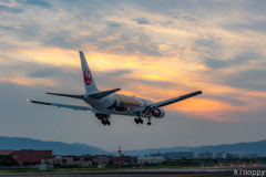 大阪国際空港 6