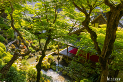 柳谷観音楊谷寺 15