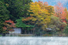 湯布院 金鱗湖 秋景色