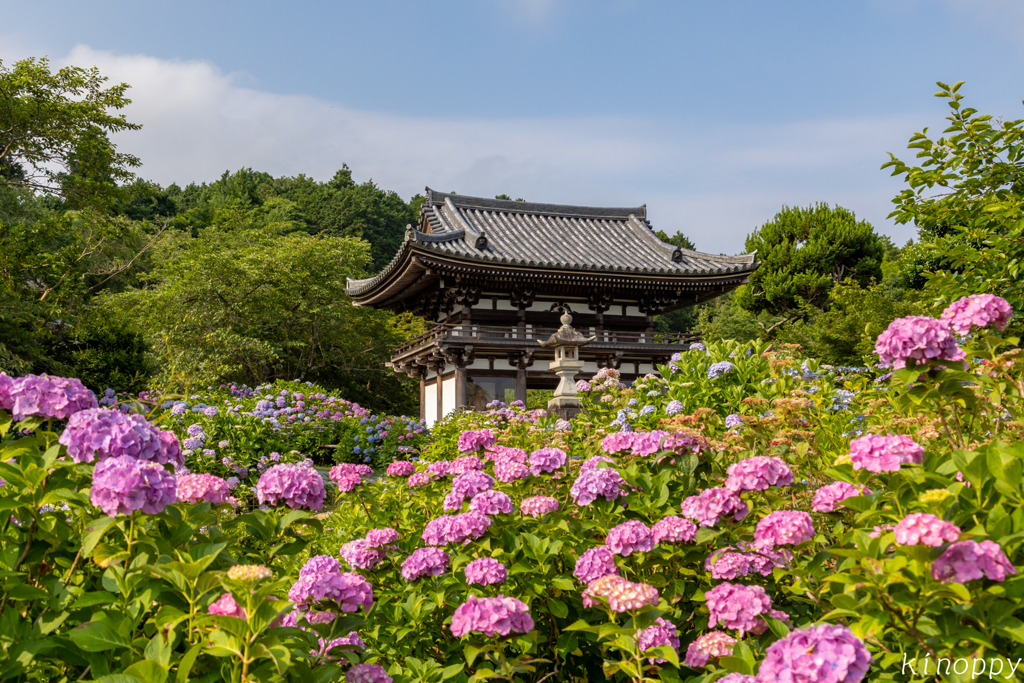 華観音寺