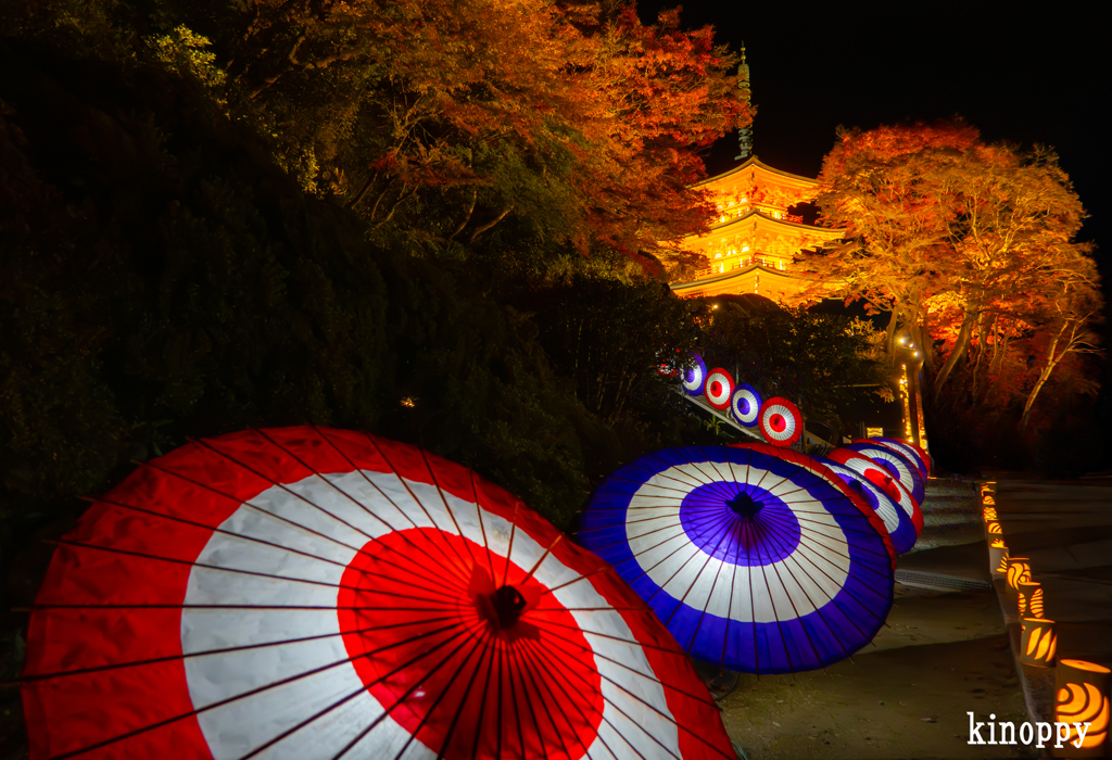 岡寺紅葉ライトアップ
