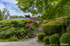 詩仙堂丈山寺 4
