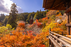 長谷寺 紅葉 4