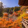 長谷寺 紅葉 4