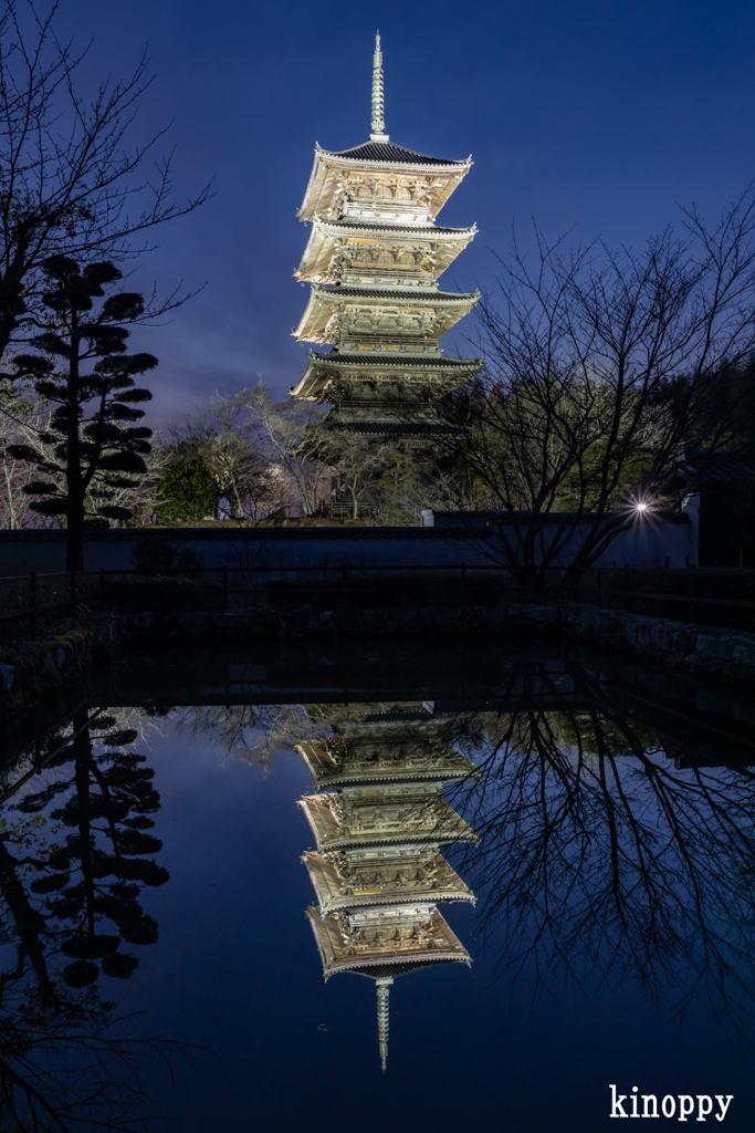 備中国分寺 ライトアップ