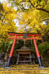 岩戸落葉神社 紅葉 3