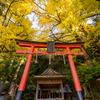 岩戸落葉神社 紅葉 3