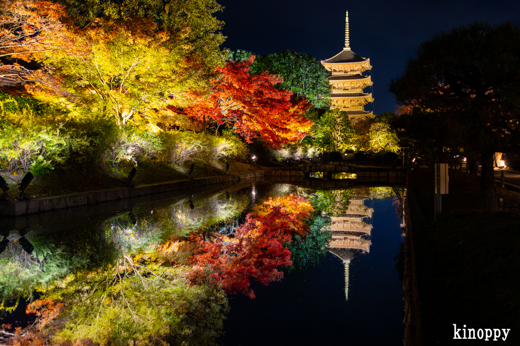 東寺 ライトアップ 7