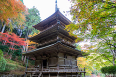 高源寺 紅葉 3