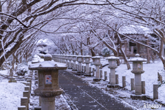 高山寺 雪景色 3