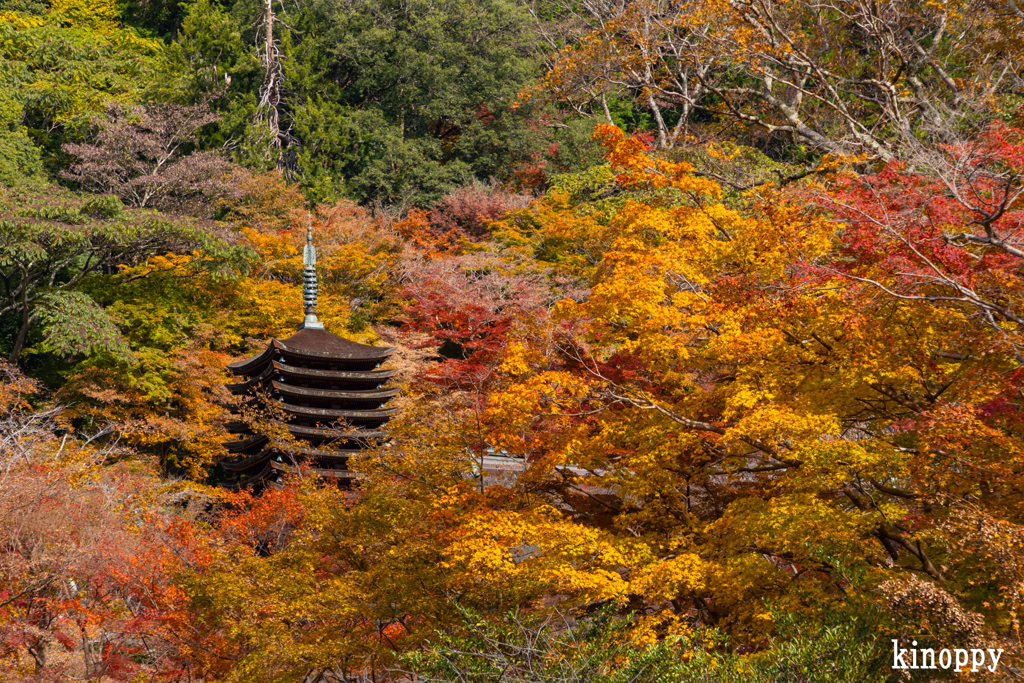 談山神社 紅葉 9