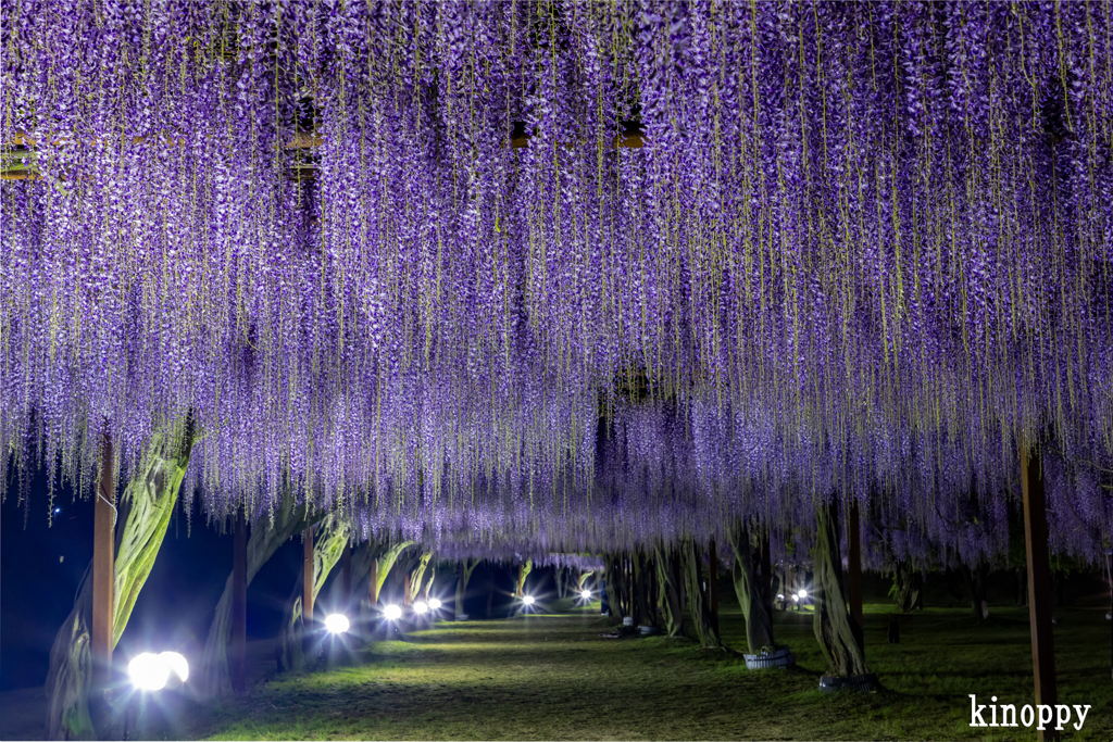 岡山和気藤公園 ライトアップ