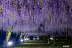 岡山和気藤公園 ライトアップ