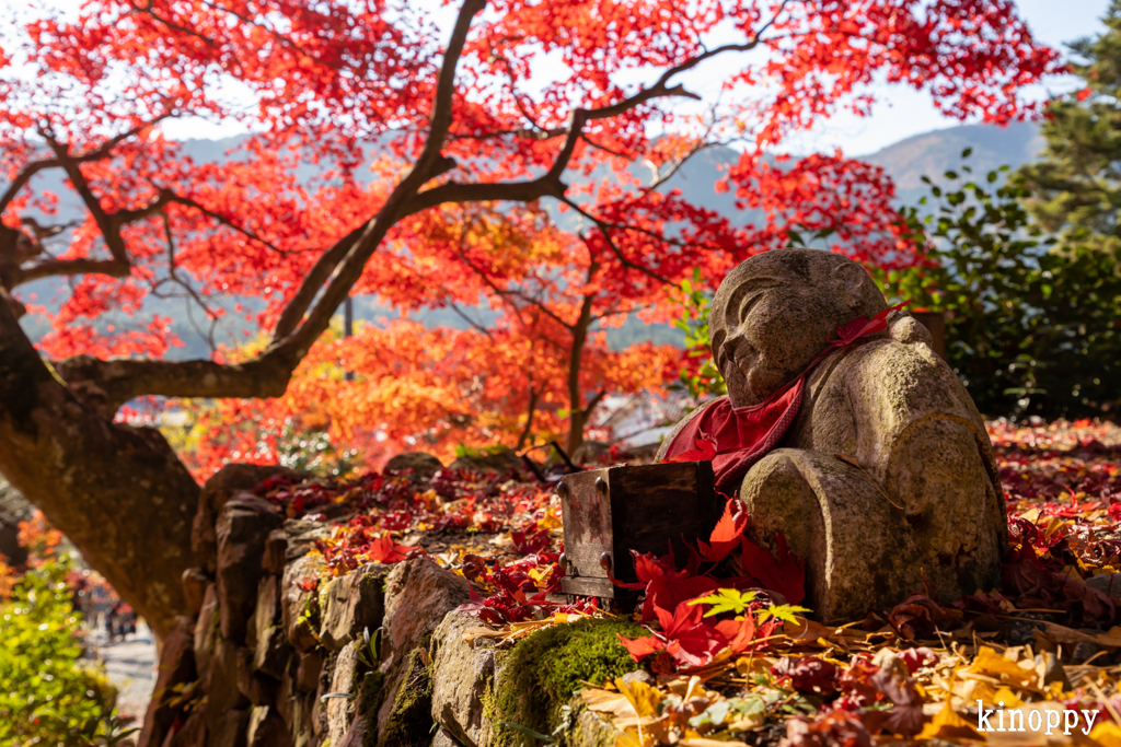 大国寺 紅葉 2