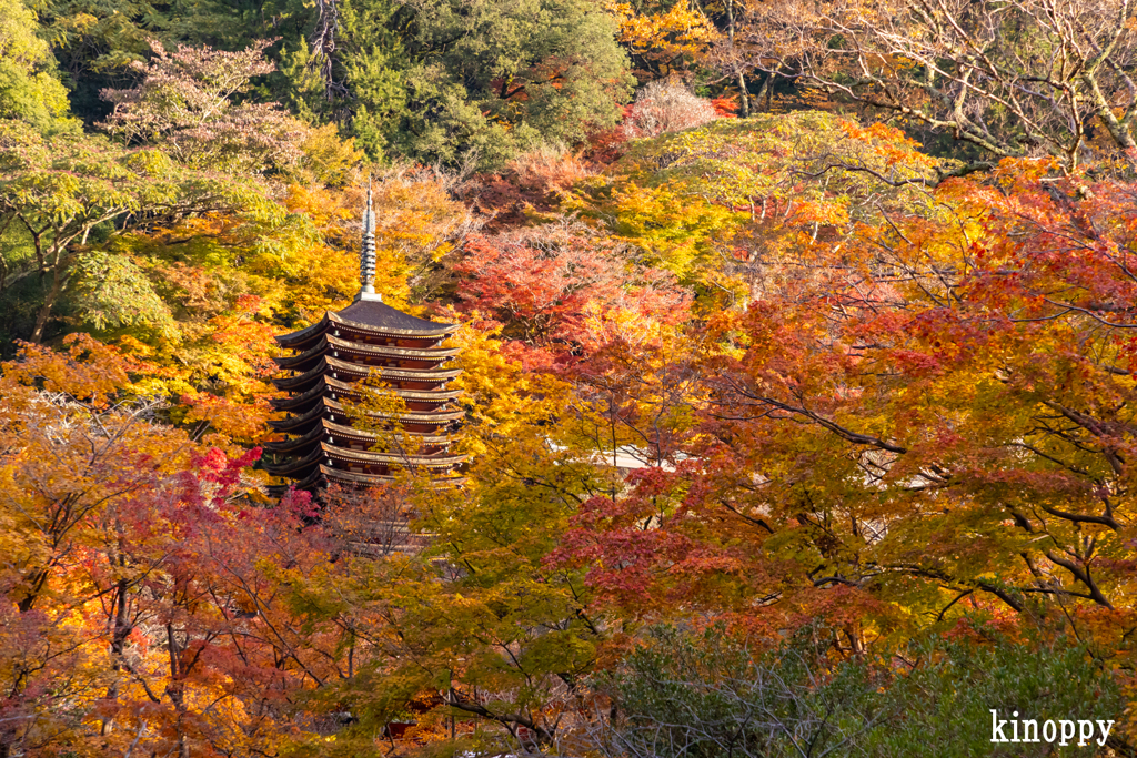 談山神社 紅葉 4