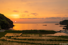 浜野浦 棚田 夕景 4